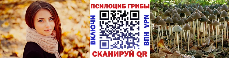 Купить  Дмитровск  Псилоцибиновые грибы мицелий 